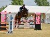 jumper Quintus P (German Sport Horse, 2010, from Question of Honour P)