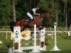 jumper Dunja 1010 (German Sport Horse, 2017, from Diarano)