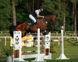 jumper Dunja 1010 (German Sport Horse, 2017, from Diarano)