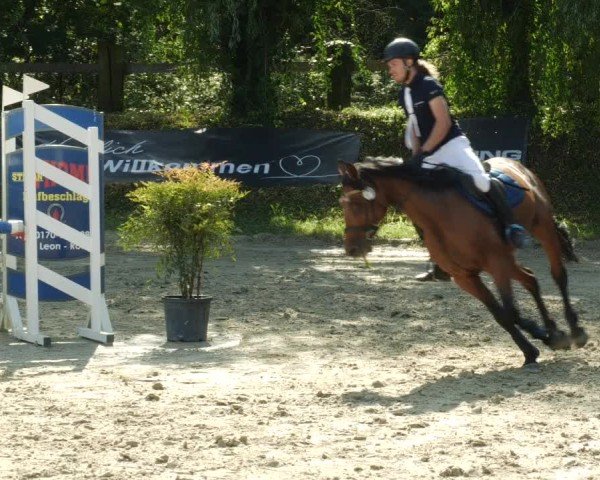 Reitturnier Walldorf/Winterheck 2024