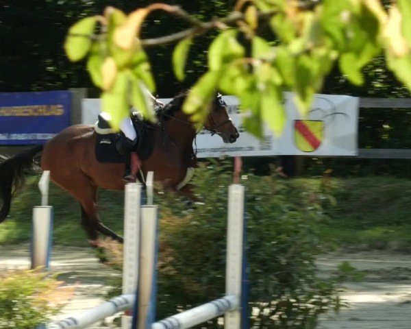 Reitturnier Walldorf/Winterheck 2024