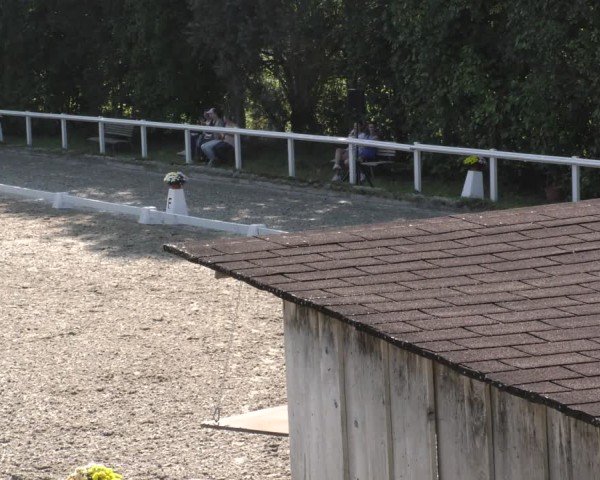 Reitturnier Zillhofen/Obb. 2024