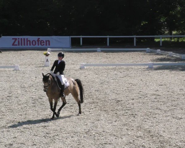 Reitturnier Zillhofen/Obb. 2024