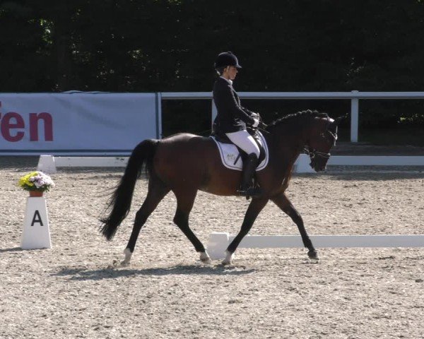 Reitturnier Zillhofen/Obb. 2024