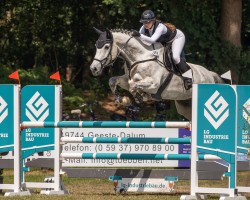 jumper Calle S 3 (Oldenburg show jumper, 2013, from Christian 25)