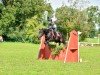 Springpferd Further's Ramirez (Welsh-Cob (Sek. D), 2006, von Thorndonpark Prince)