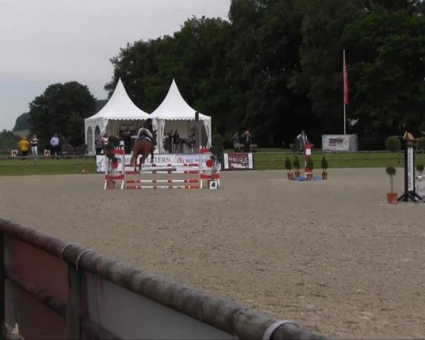 Remmighausen 2013
