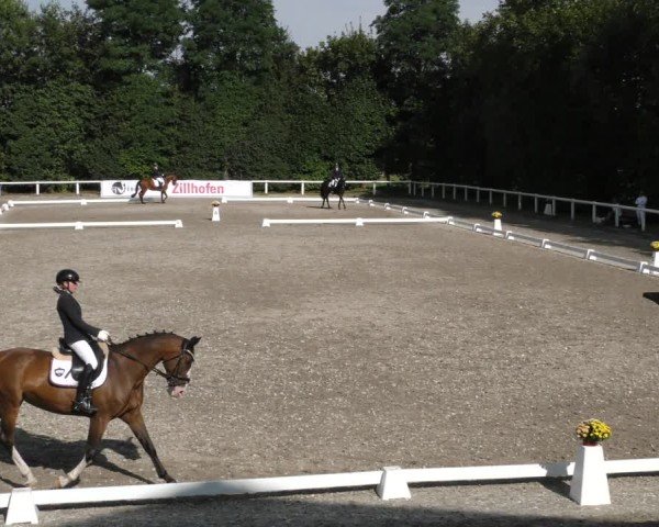 Reitturnier Zillhofen/Obb. 2024