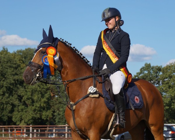 broodmare Komtessa 32 (Holsteiner, 2017, from Cascadello)