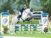 dressage horse Ashbrook Winter (Connemara Pony, 2018, from Ashbrook Thunder)