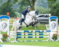 dressage horse Ashbrook Winter (Connemara Pony, 2018, from Ashbrook Thunder)