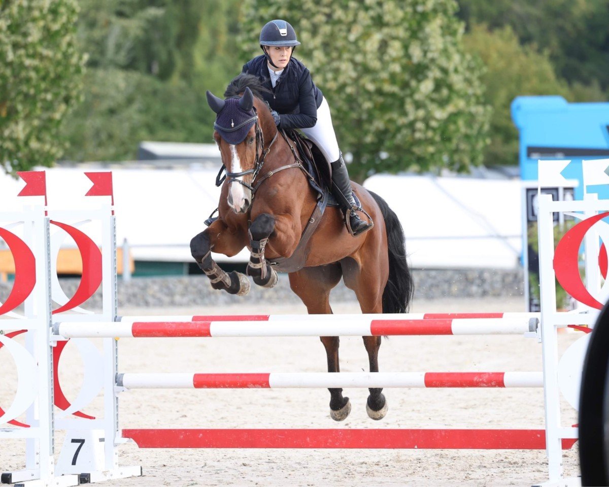 jumper Balou L'espoir (Belgian Warmblood, 2013, from Balou de Coeur Joye)