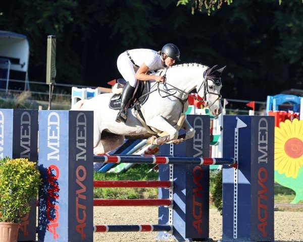 jumper Callie Grace (Hanoverian, 2008, from Calido I)