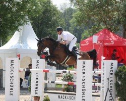 jumper Corinna 124 (Hanoverian, 2016, from Capistrano 2)