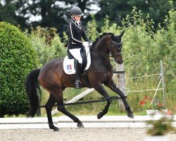 stallion First Dancer (Hanoverian, 2016, from Fürstenball)