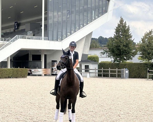 dressage horse Feelina 6 (Oldenburg, 2018, from Tannenhof's Fahrenheit)