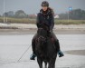 dressage horse Hastings (German Riding Pony, 2000, from Hattrick)