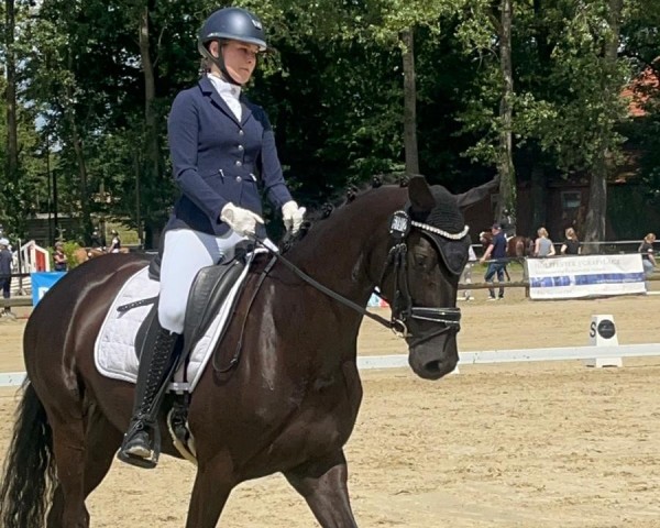 dressage horse Davina de luxe (Hanoverian, 2020, from Da Costa)