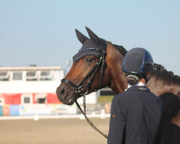 dressage horse Valentina 163 (Hanoverian, 2021)