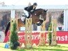 jumper Daredevil 11 (Oldenburg show jumper, 2018, from Diamant de Semilly)