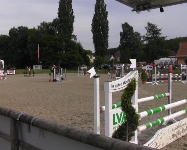 Remmighausen 2013