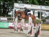 jumper Leaper Dublin GM (Cruzado-Espanol, 2019, from Destello Ls)