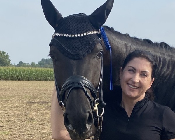 dressage horse Frascati 75 (Hanoverian, 2018, from Fürst Belissaro)