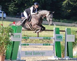 jumper Stakkitano PS (Oldenburg show jumper, 2018, from Stakkatol)