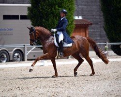 dressage horse DeLorean Love (Oldenburg, 2017, from DeLorean)