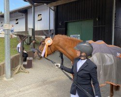 dressage horse Smilla 148 (Hanoverian, 2018, from Secret)