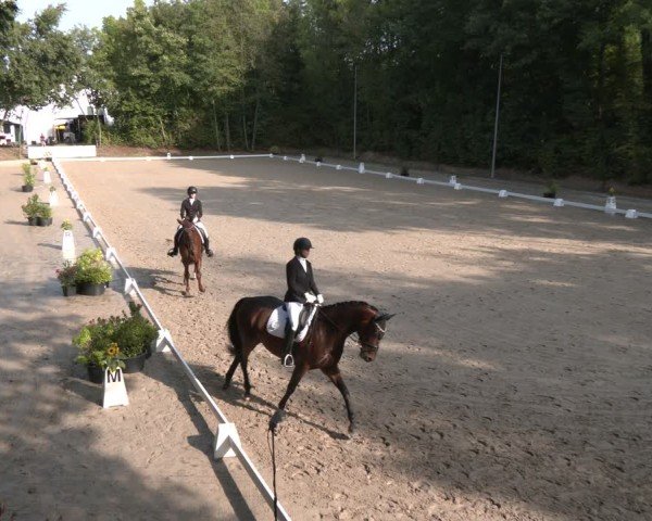 Reitturnier Köln-Flittard (Scheuerhof) 2024