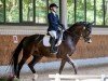 dressage horse Day-Lights Soulmate (Danish Warmblood, 2015, from Blue Hors First Choice)