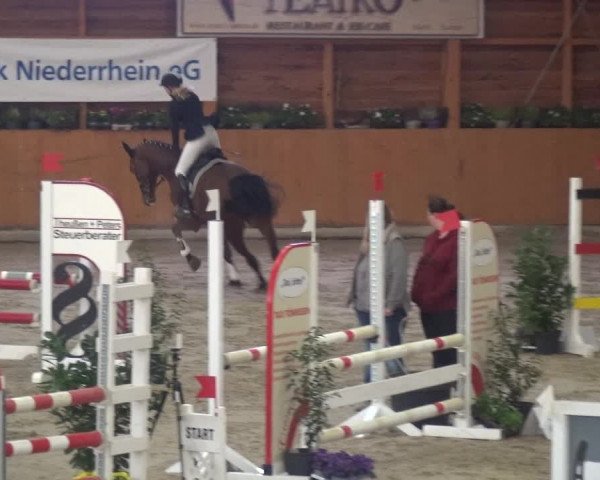 Springturnier Xanten - Reitanlage Miss 2021