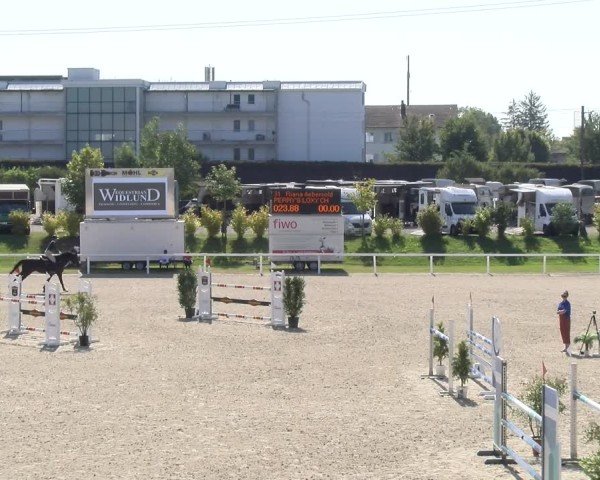 Reitturnier Bülach 2024