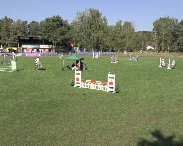 Reitturnier Dannenberg 2024