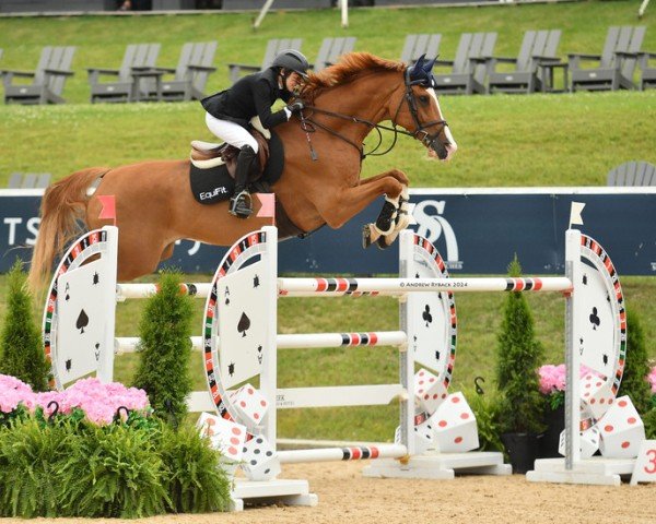 Springpferd Happy Feets Heartbeat (Dänisches Warmblut, 2012, von Heartbeat)