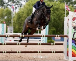 jumper Diablotin Copine G (Oldenburg, 2009, from Diarado)