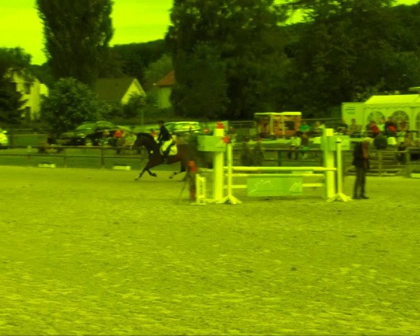 Remmighausen 2013