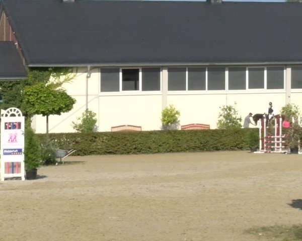 Reitturnier St.Wendel, Gestüt Welvert 2024