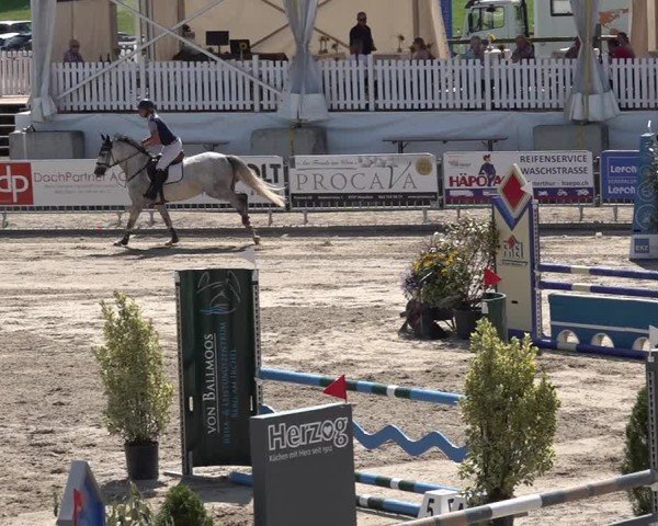Reitturnier Humlikon 2024