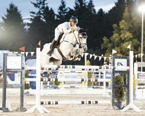 Springpferd Celeste Y Blanca (Deutsches Sportpferd, 2016, von Cellestial)