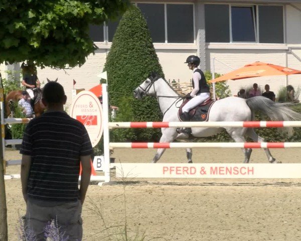 Reitturnier St.Wendel, Gestüt Welvert 2024