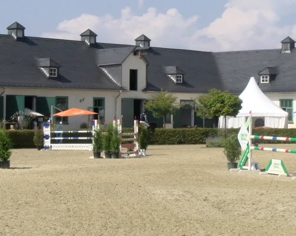 Reitturnier St.Wendel, Gestüt Welvert 2024
