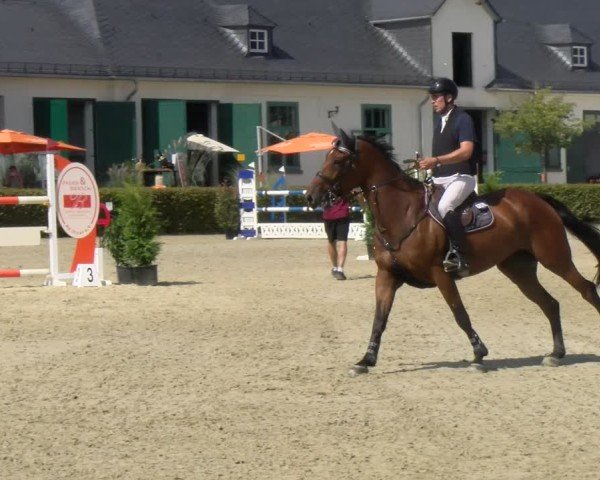 Reitturnier St.Wendel, Gestüt Welvert 2024