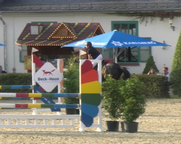 Reitturnier St.Wendel, Gestüt Welvert 2024