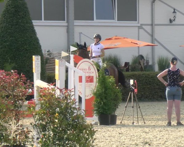 Reitturnier St.Wendel, Gestüt Welvert 2024