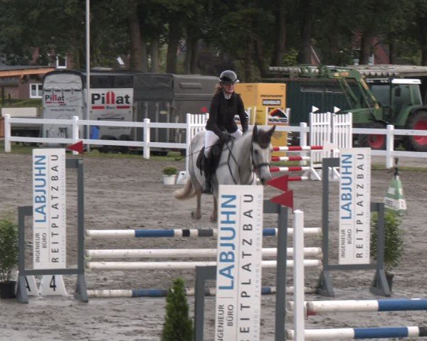 Reitturnier Springturnier Mildstedt 2024