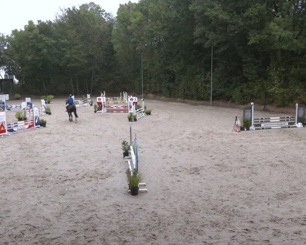 Reitturnier Köln-Flittard (Scheuerhof) 2024