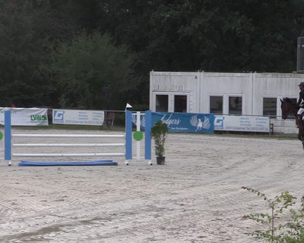 Reitturnier Pietzpuhl 2024