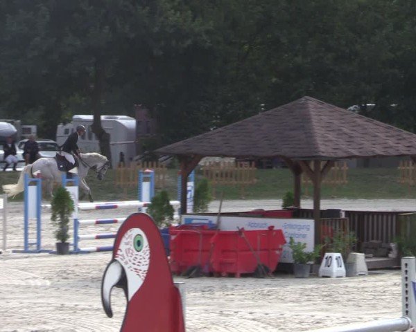 Reitturnier Pietzpuhl 2024